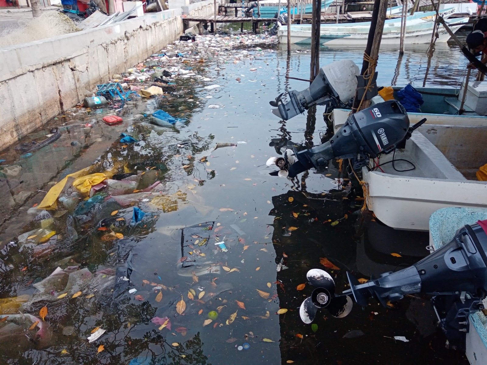 Policía Municipal niega apoyo de seguridad a ambientalistas