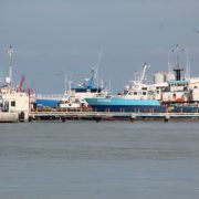 Basta de repudio y venganza hacia los carmelitas