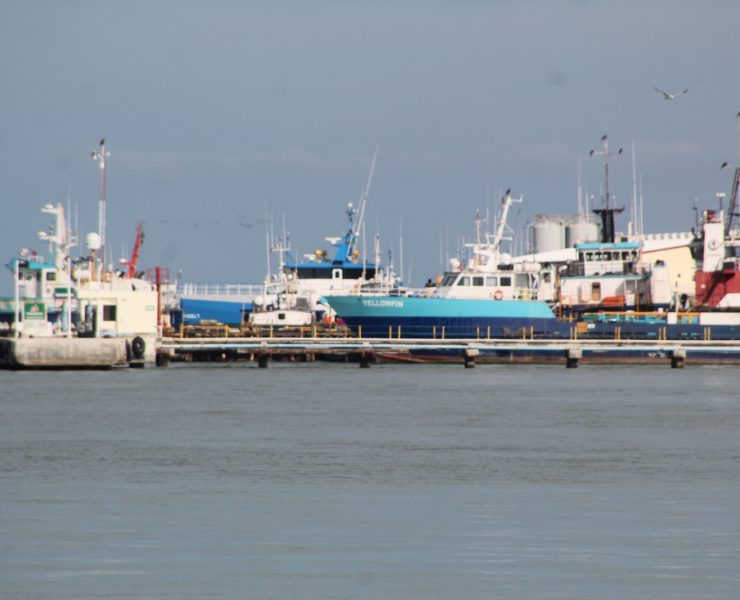 Basta de repudio y venganza hacia los carmelitas
