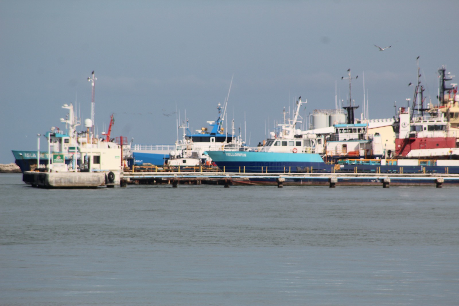 Basta de repudio y venganza hacia los carmelitas