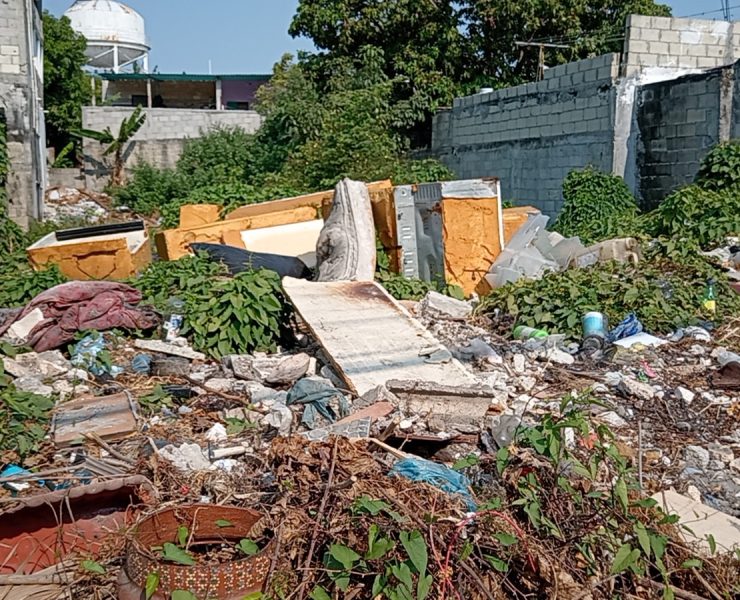 Predio baldío en la colonia Benito Juárez convertido en basurero