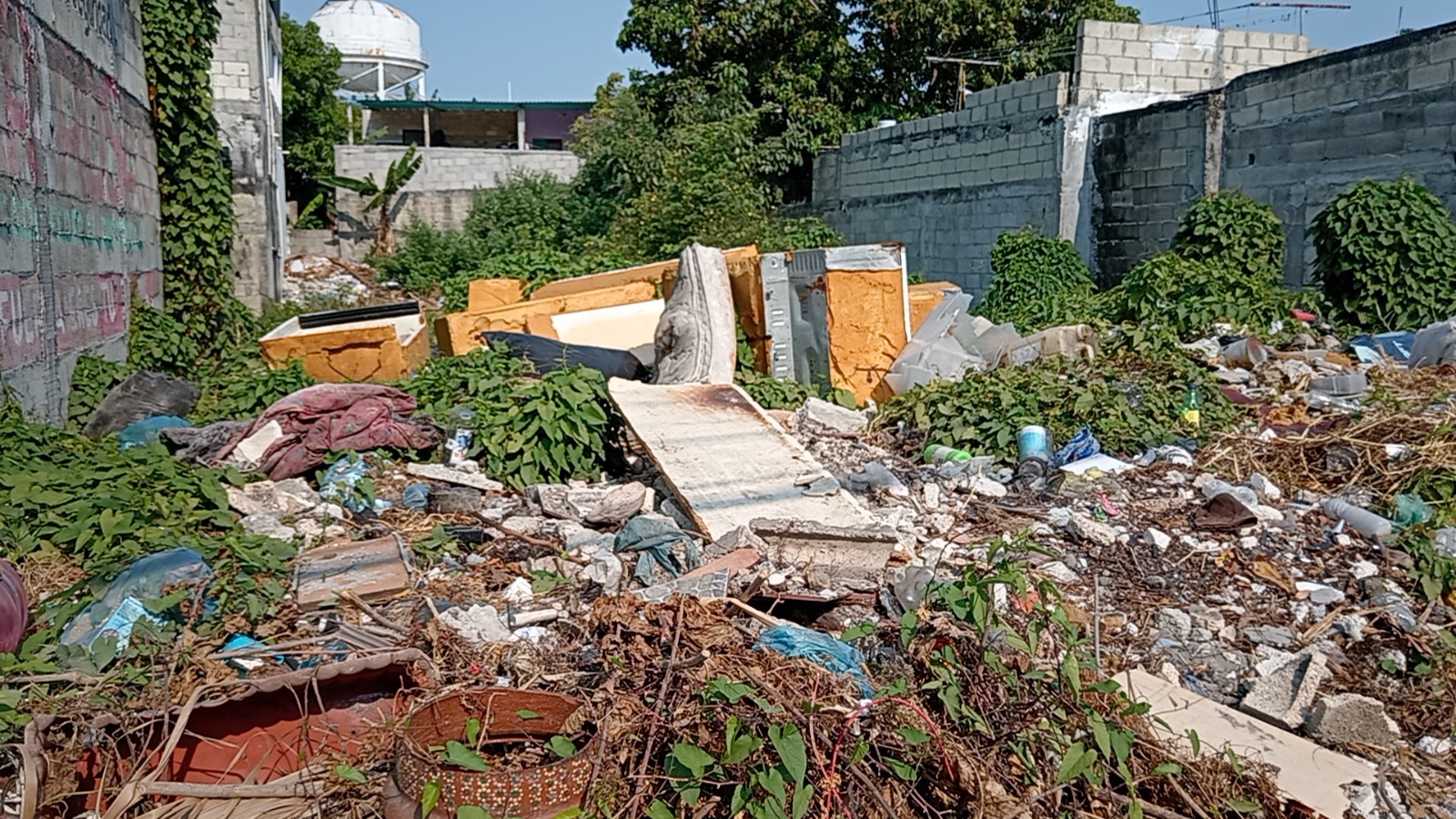 Predio baldío en la colonia Benito Juárez convertido en basurero