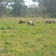Pozos profundos para mitigar la temporada de estiaje