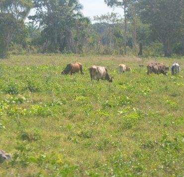 Pozos profundos para mitigar la temporada de estiaje