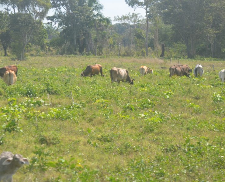 Pozos profundos para mitigar la temporada de estiaje