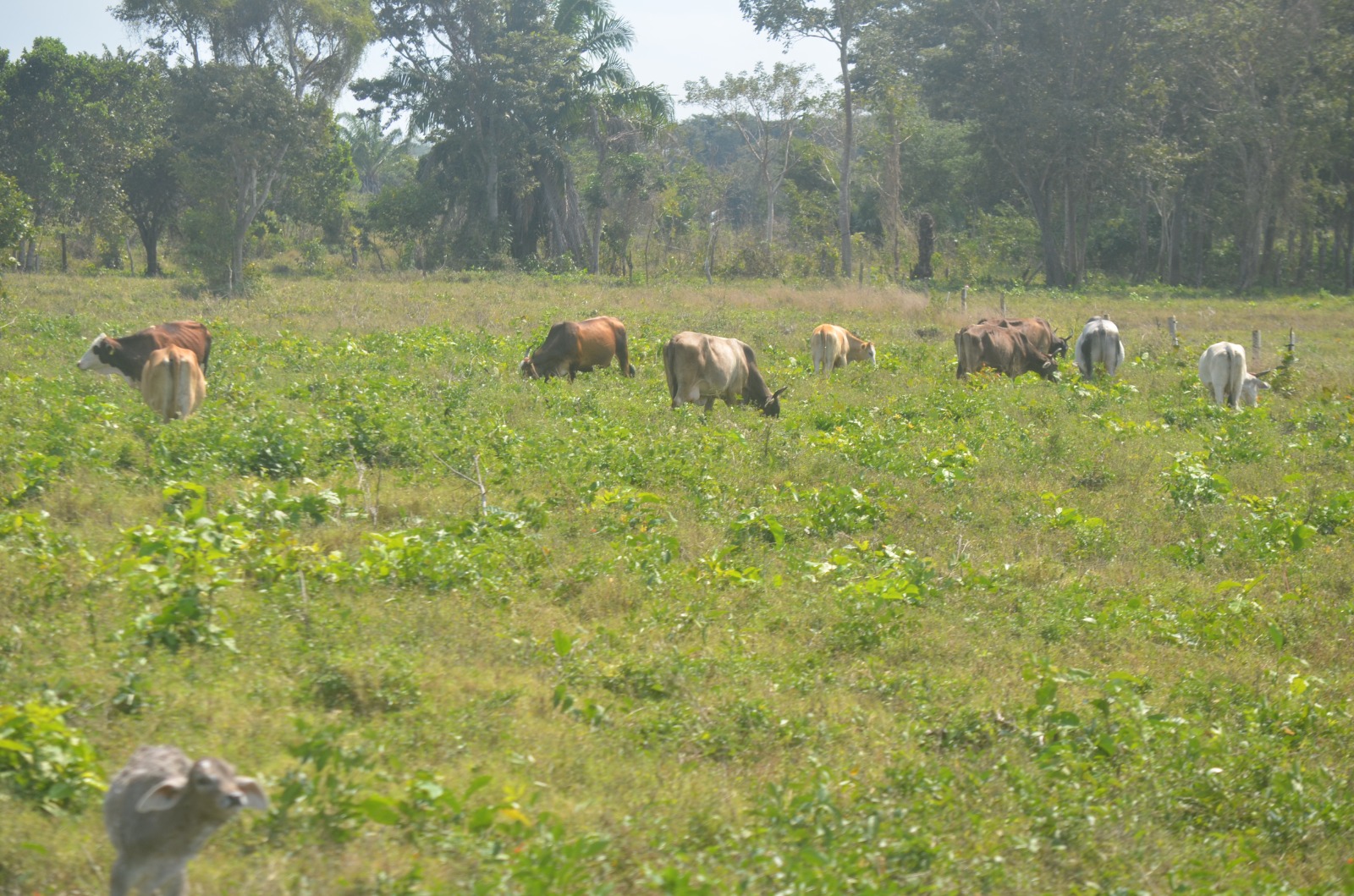Pozos profundos para mitigar la temporada de estiaje