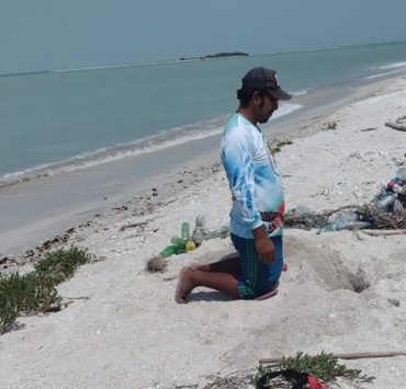 Hasta el momento no hay registro de anidación de tortugas marinas