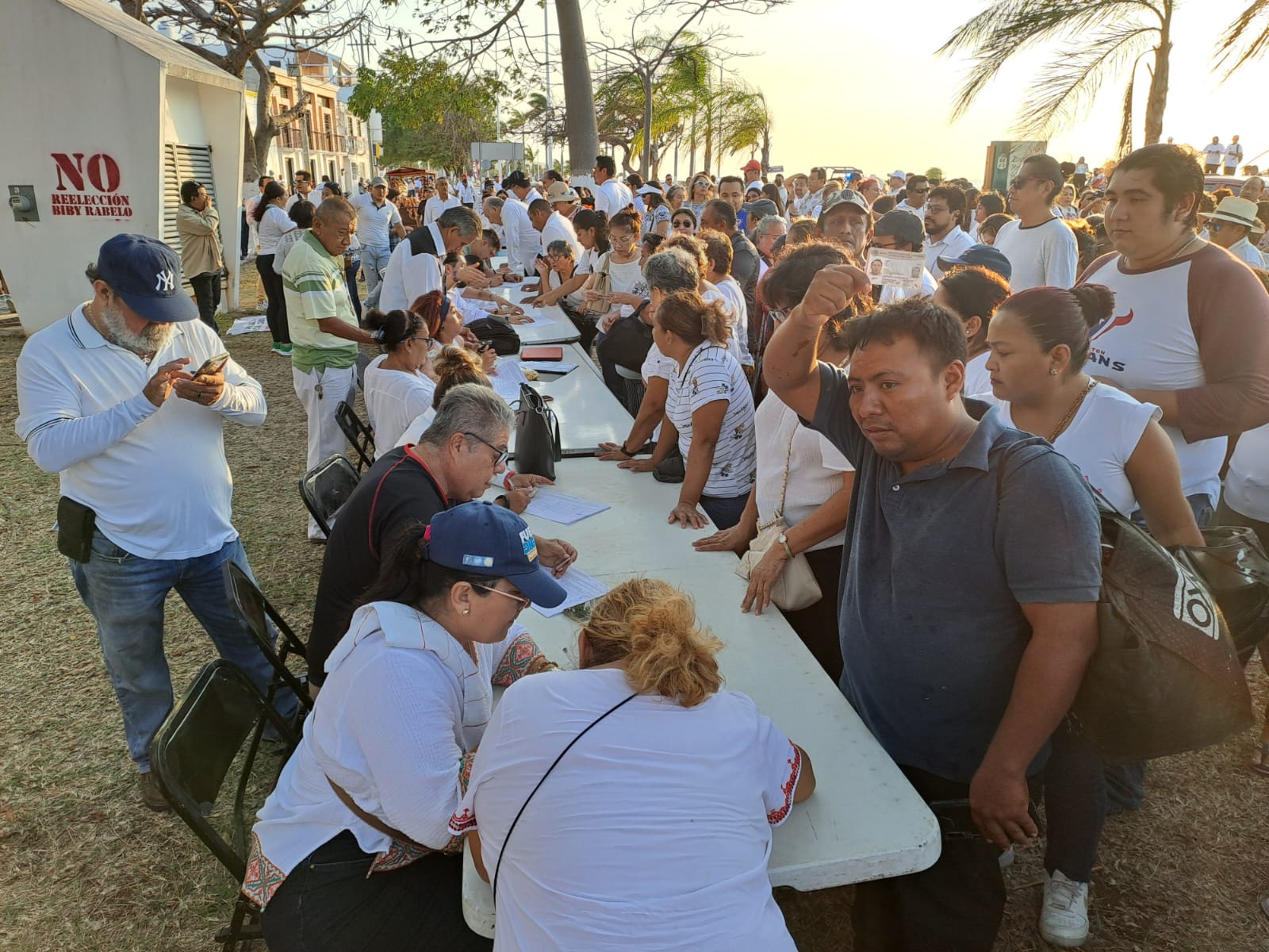 Más de 8 mil firmas