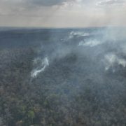 Incendio en Chun Ek Campeche