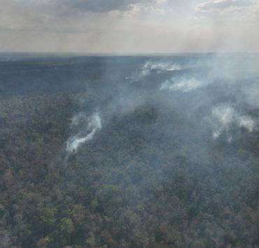 Incendio en Chun Ek Campeche