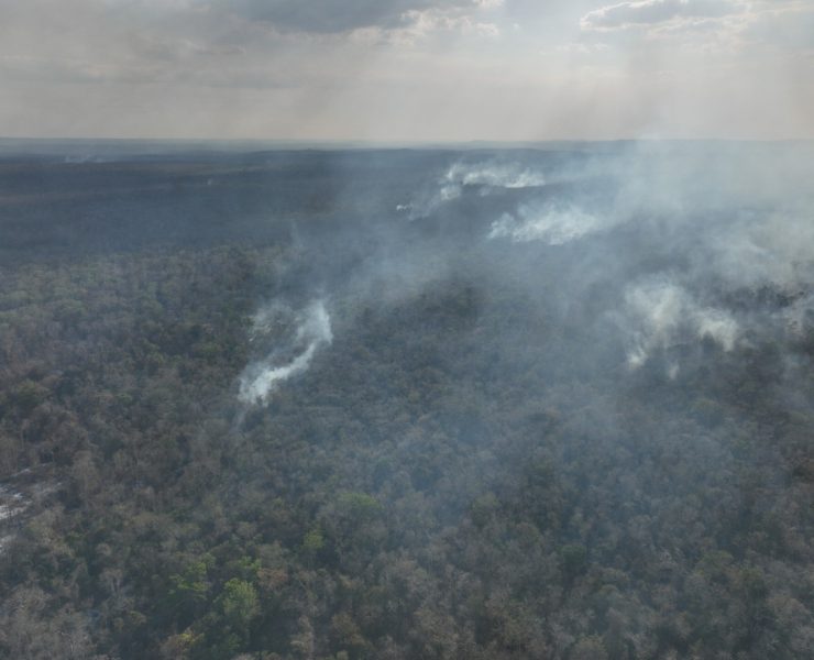 Incendio en Chun Ek Campeche