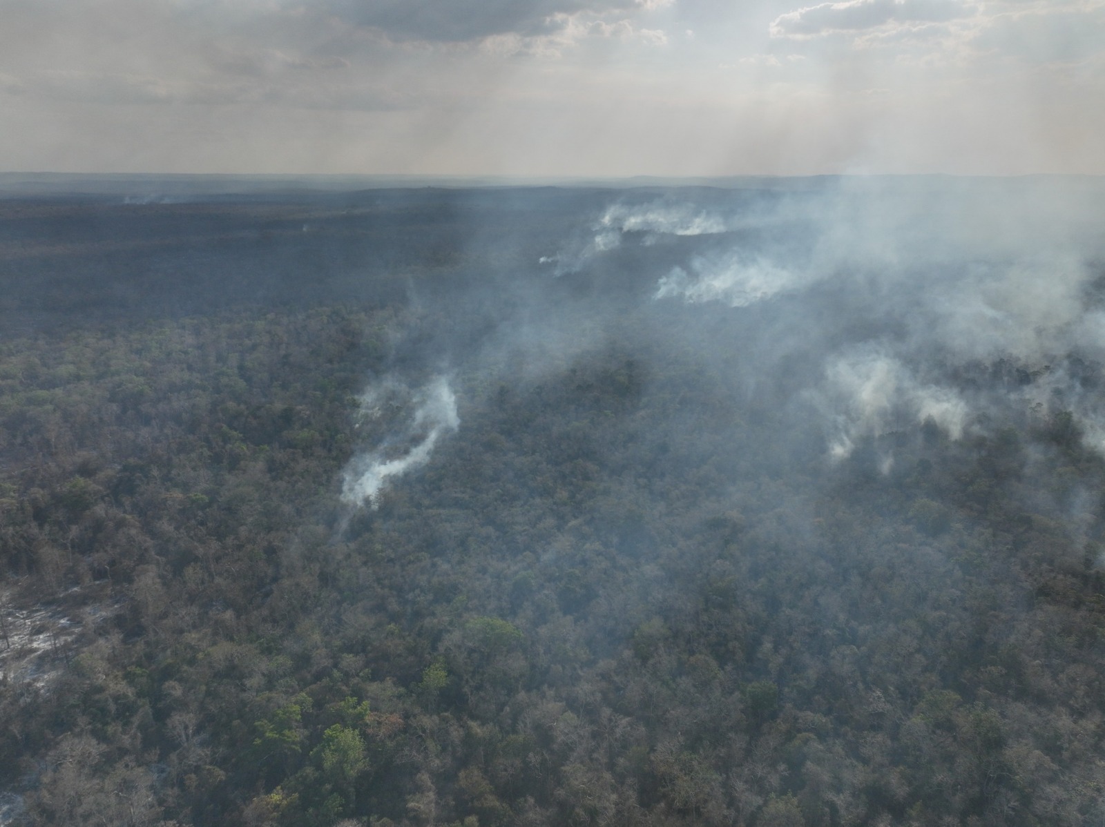 Incendio en Chun Ek Campeche