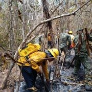 Campeche tiene un registro