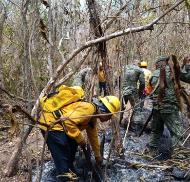 Campeche tiene un registro