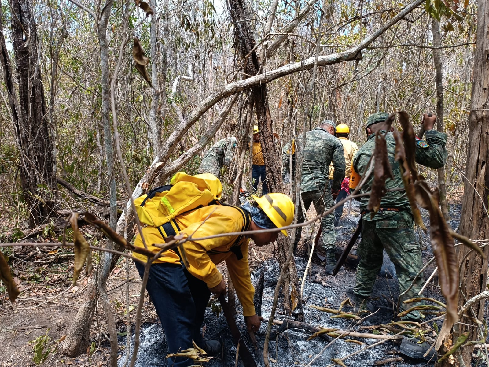 Campeche tiene un registro