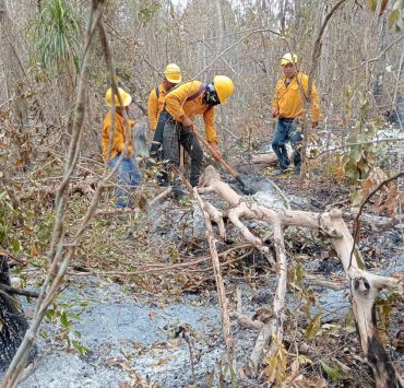 Logran sofocar incendio