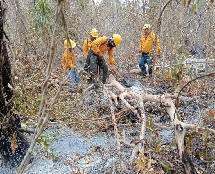 Logran sofocar incendio