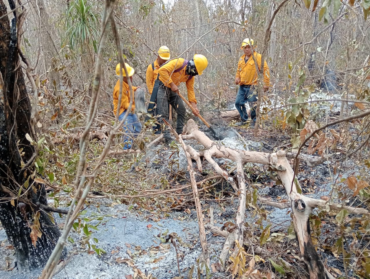 Logran sofocar incendio