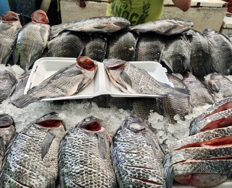 Temporada difícil para el sector ribereño