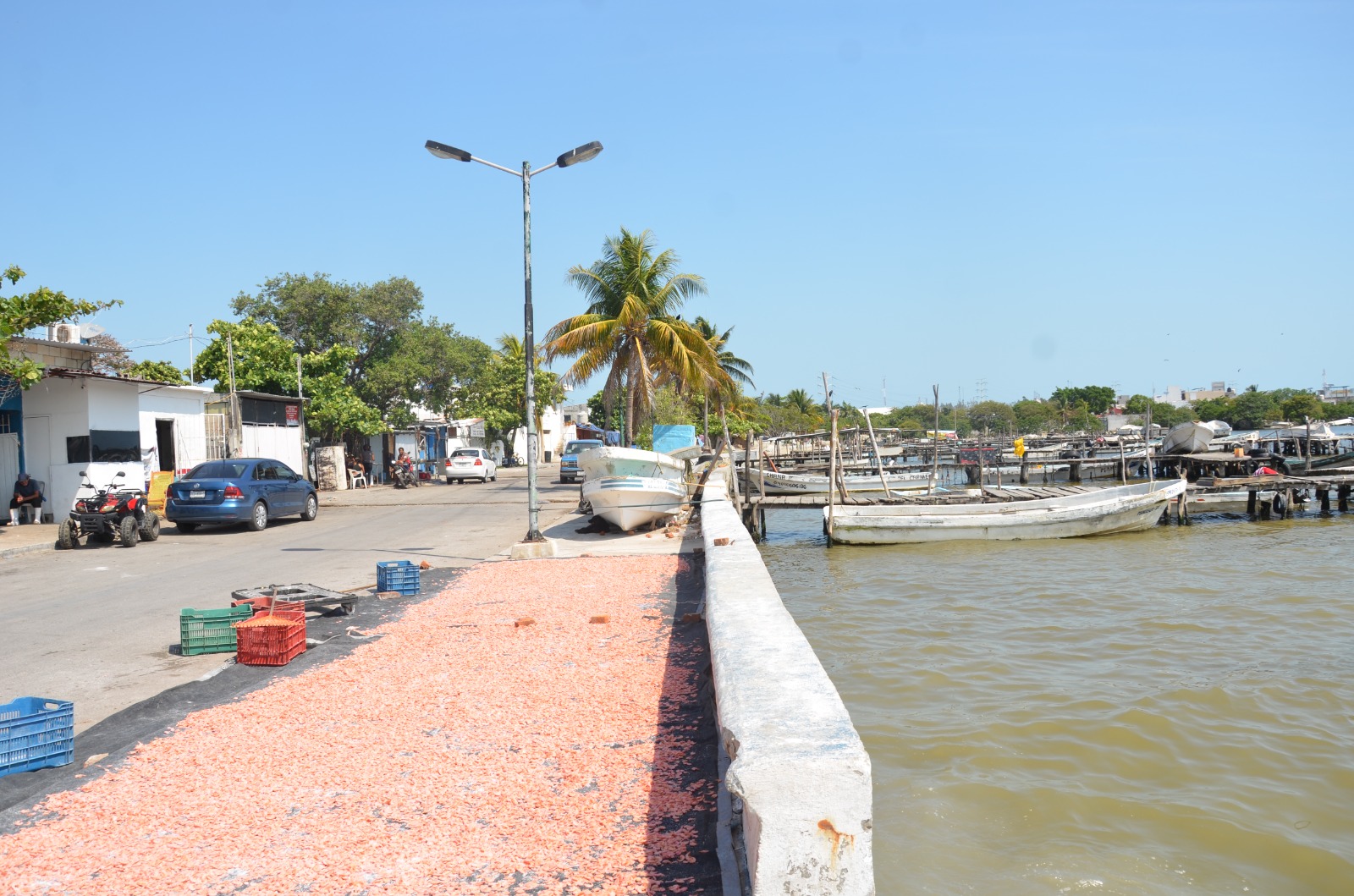 Puente de Puntilla a Manigua obra prioritaria