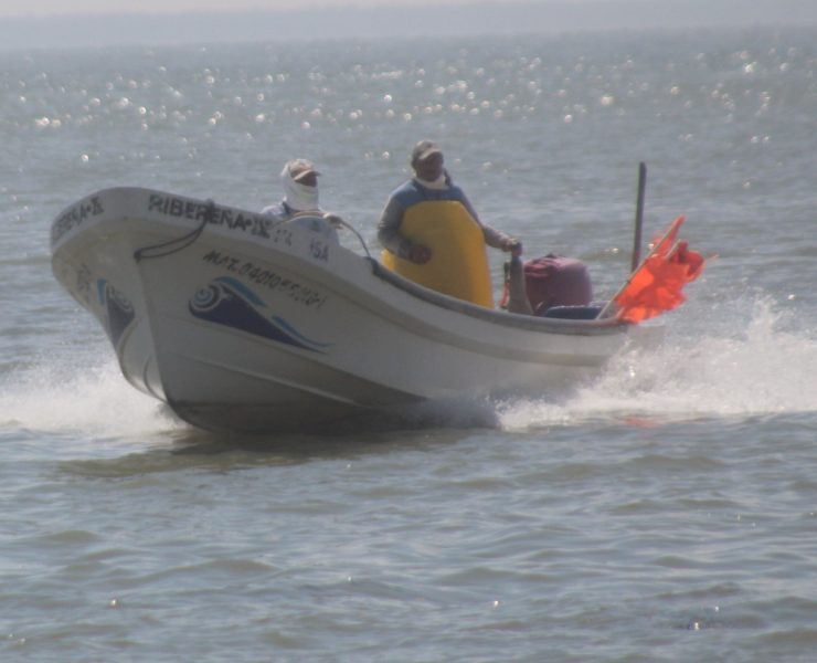 Escasez de hielo en la Isla afecta a pescadores