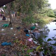 Propefa y Semarnat ciegos y sordos ante denuncias