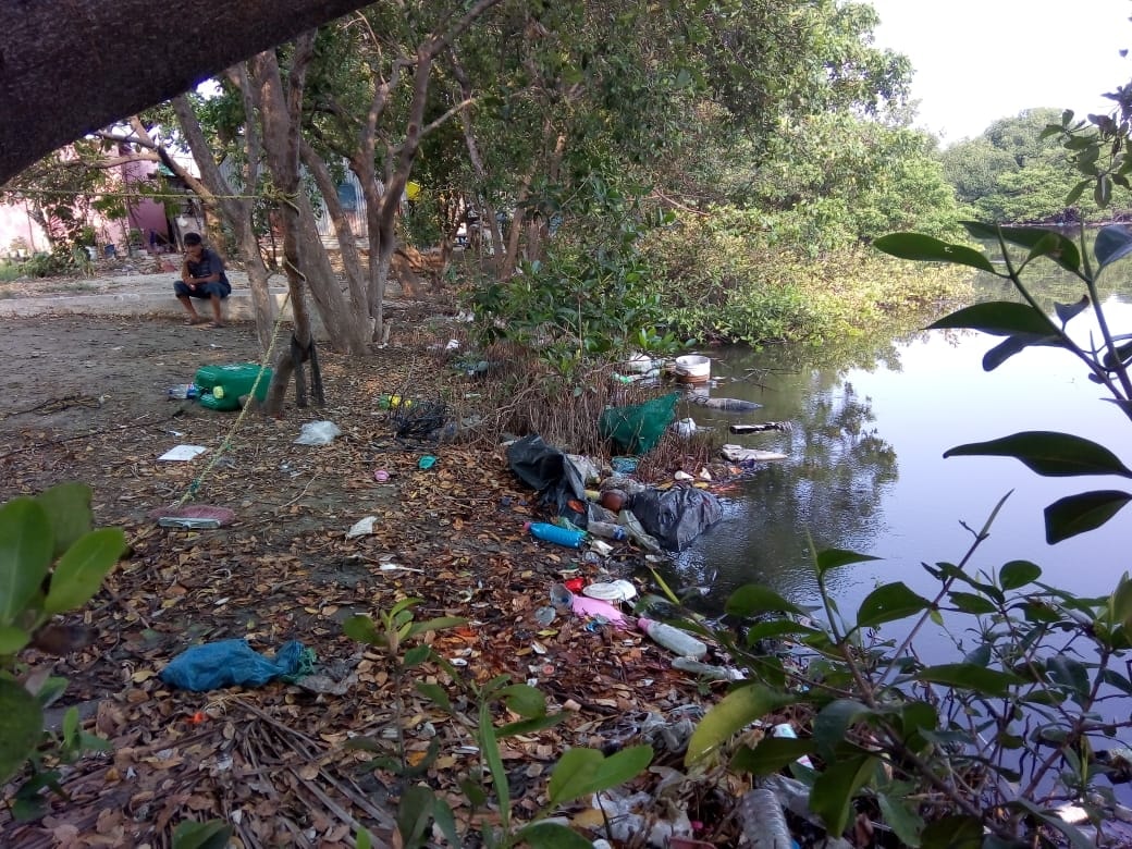 Propefa y Semarnat ciegos y sordos ante denuncias