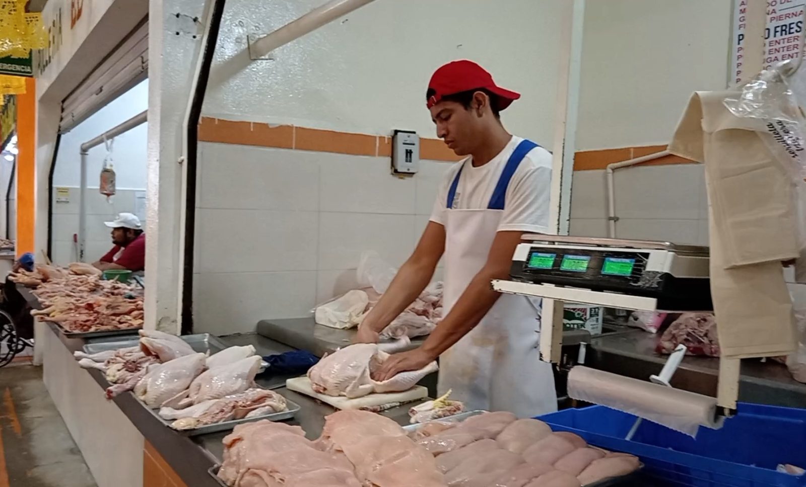 Comerciantes de pollos cifran expectativas para el 10 de mayo
