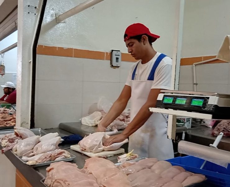 Comerciantes de pollos cifran expectativas para el 10 de mayo
