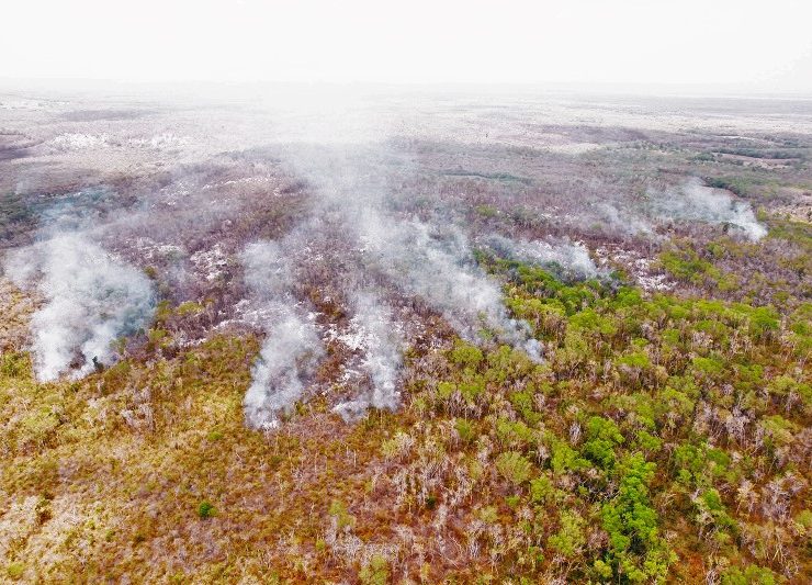 Más de 22 mil puntos