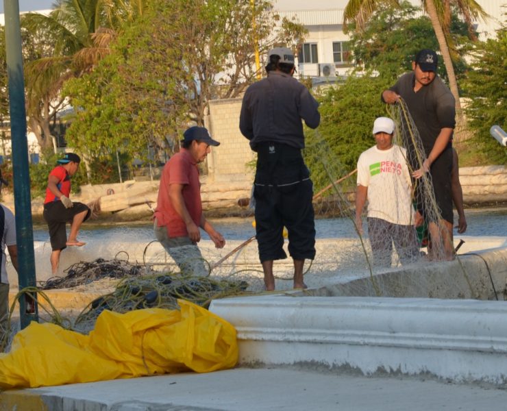 Pescadores recibieron apoyo económico de veda y baja captura