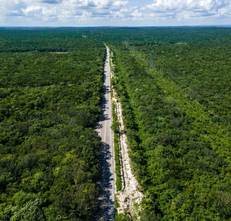 ¿Agua para Calakmul?