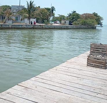 Construyen muelle a ostioneros