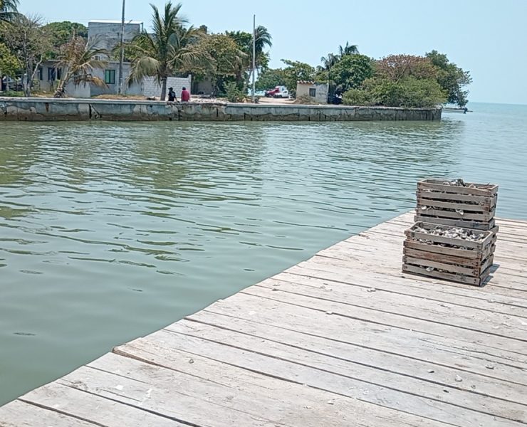 Construyen muelle a ostioneros