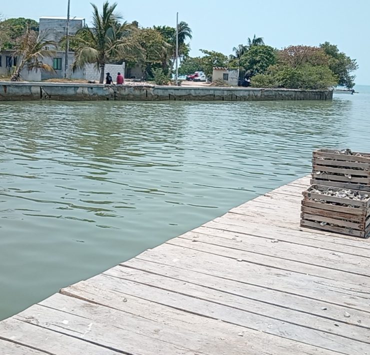 Construyen muelle a ostioneros