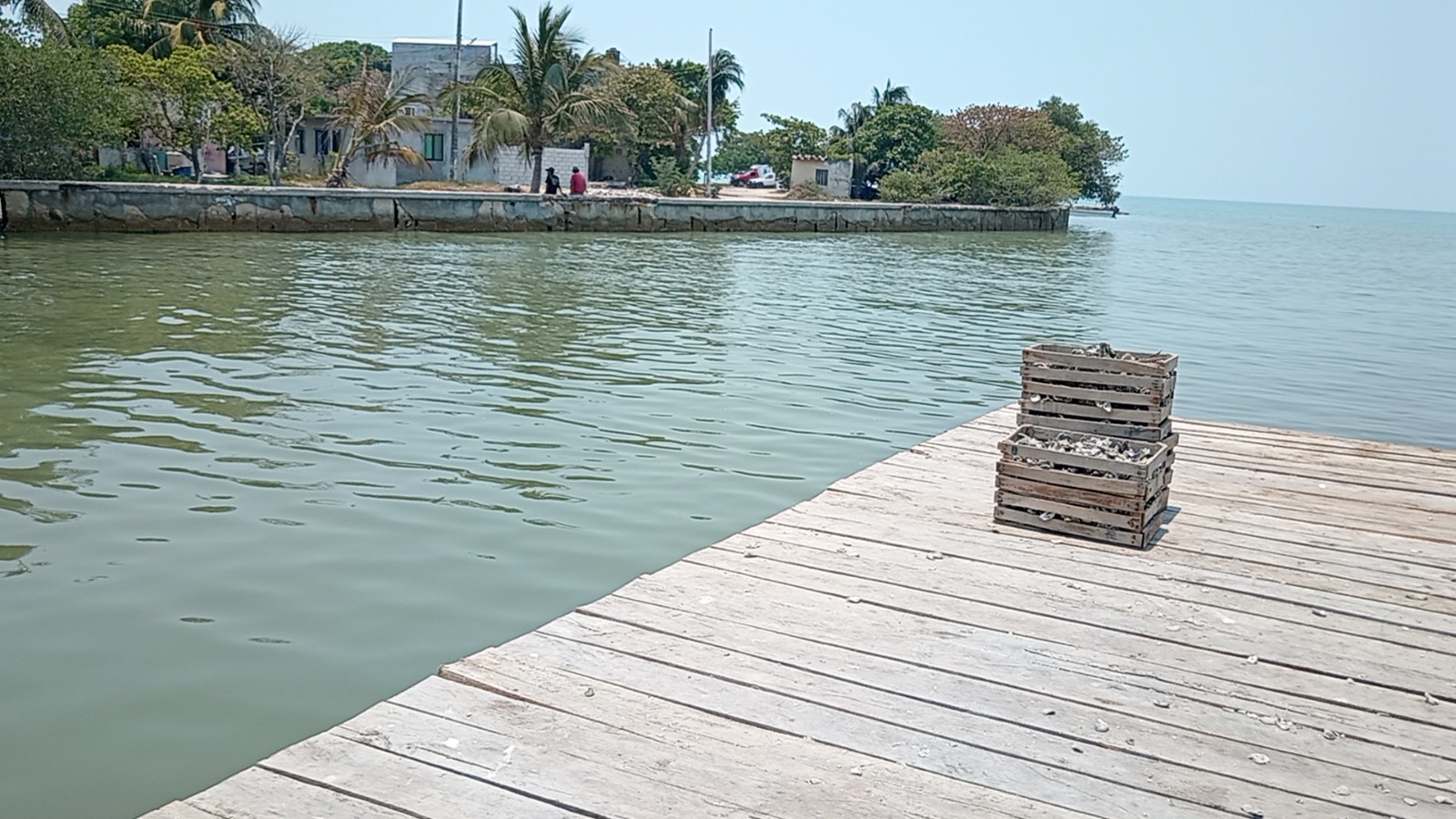 Construyen muelle a ostioneros