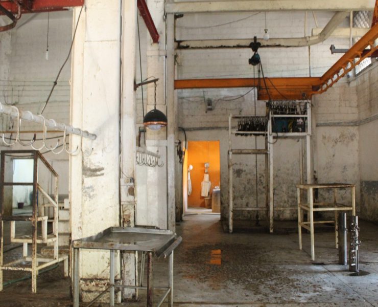 Modernizarán rastro municipal de Ciudad del Carmen