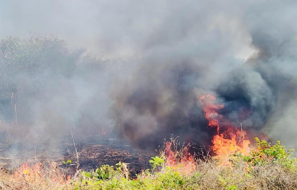 Quemas fuera de control han afectado 7 hectáreas forestales