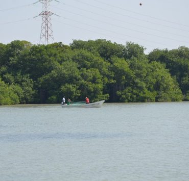 Se ha descuidado al medio ambiente