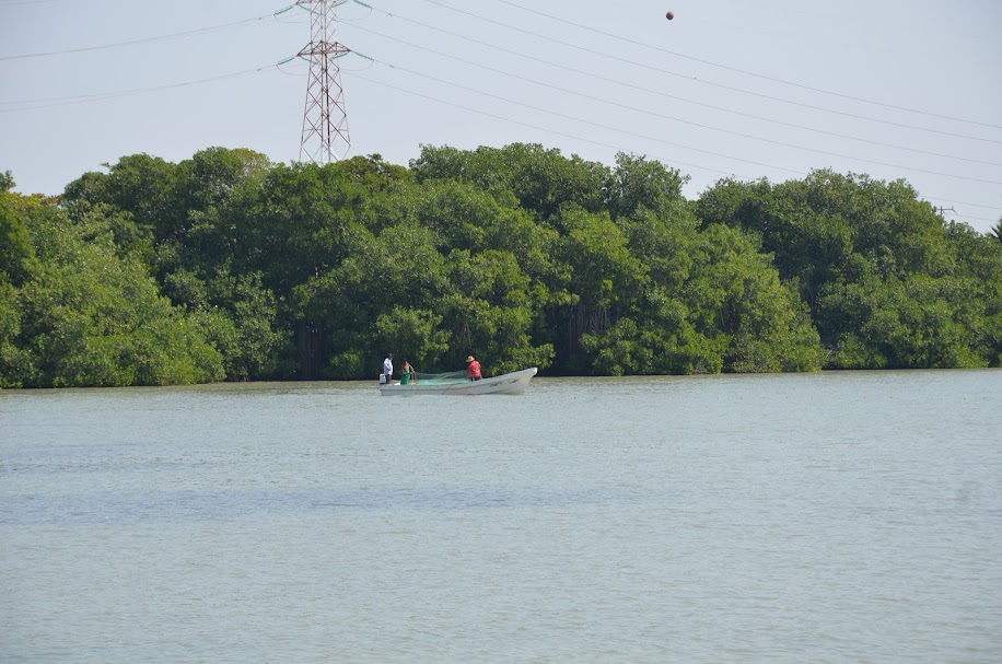 Se ha descuidado al medio ambiente