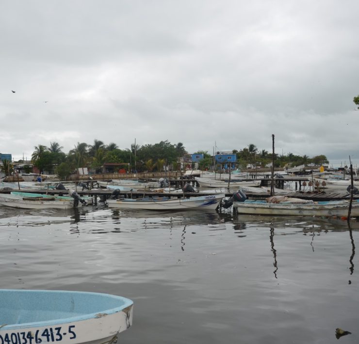 Sector pesquero deja de generar hasta 3 mdp diarios con el mal tiempo