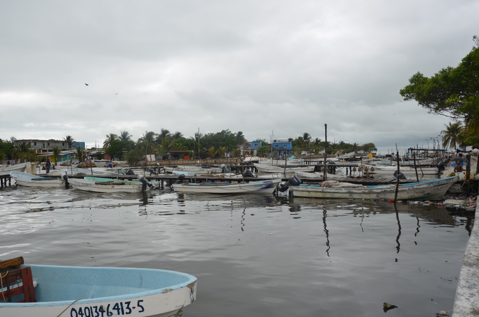 Sector pesquero deja de generar hasta 3 mdp diarios con el mal tiempo