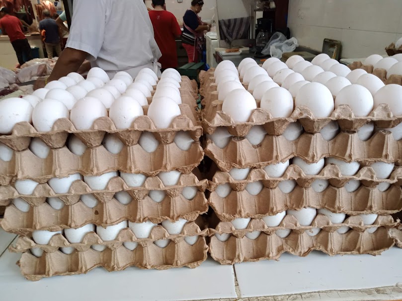 Profeco debe regular el precio del huevo