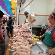 Estable venta de pollos en el mercado AFA