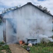 Piden fumigación en Atasta por plaga de mosquitos