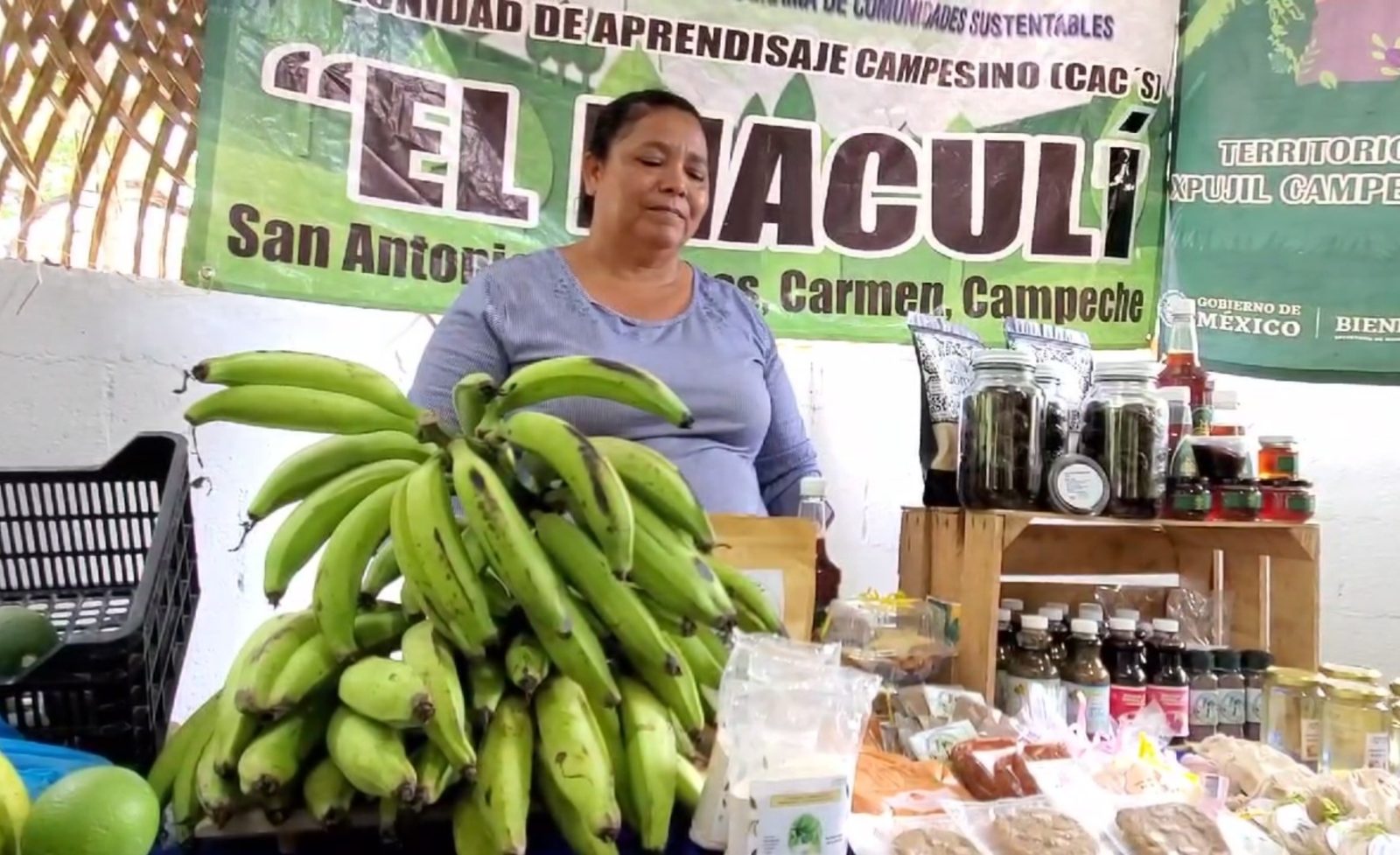 Resultados positivos del programa Sembrando Vida