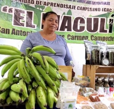 Resultados positivos del programa Sembrando Vida
