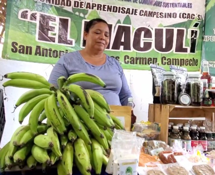 Resultados positivos del programa Sembrando Vida