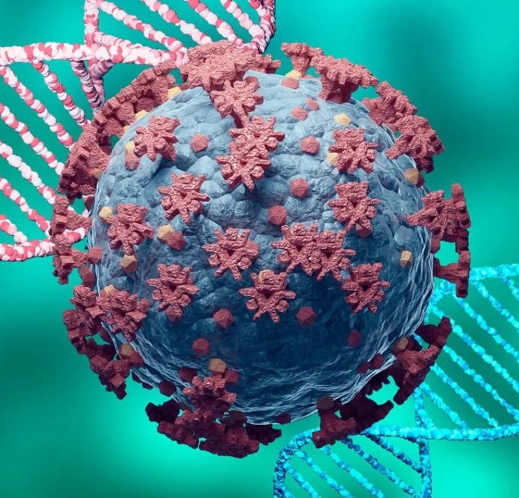 Un nuevo virus en Brasil