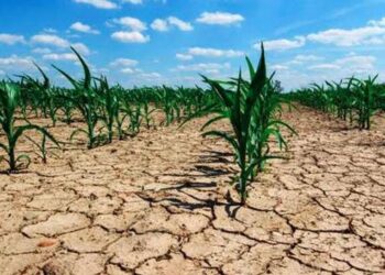 Sequía pone en jaque derecho al agua y a la producción de alimentos en México